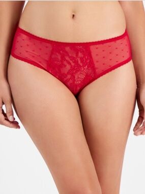 I.n.c. International Concepts Women's Lace Mesh-Panel Brief, Created for Macy's.